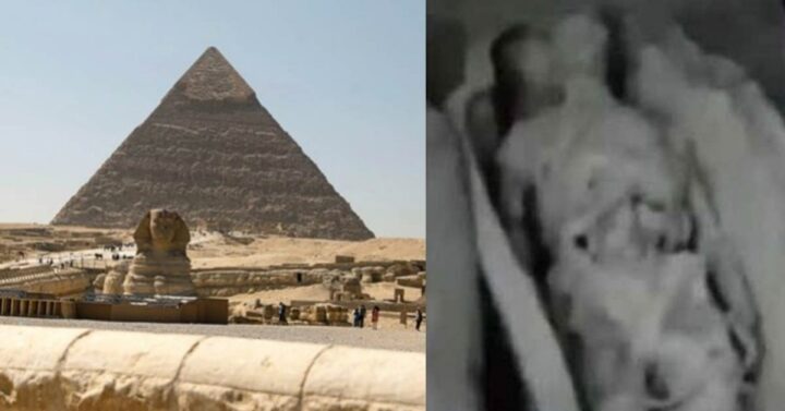 이집트 피라미드 CCTV에 찍힌 생물체의 충격적인 정체