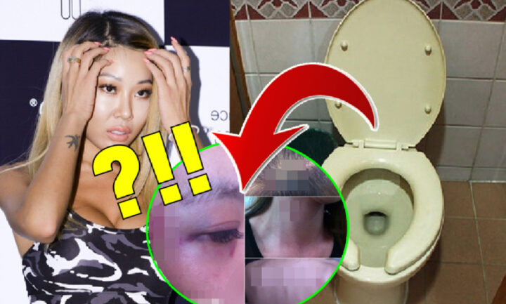 제시 일반인 폭행 논란 “이태원 클럽 화장실 변기에 얼굴을..?”